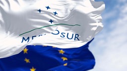 Symbolbild: Die Fahnen von Mercosur und EU.