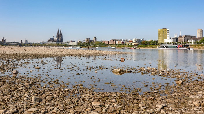 Niedrigwasser im Rhein bei Köln.