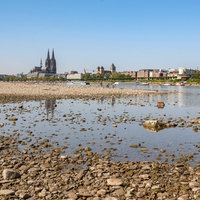 Niedrigwasser im Rhein bei Köln.