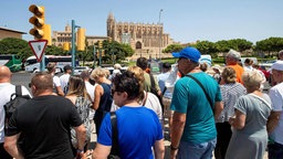 Eine Gruppe von Touristen wartet darauf, eine Straße zu überqueren. Im Hintergrund ist die Kathedrale von Palma de Mallorca zu sehen.