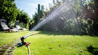 Symbolbild: Rasensprenger bewässert einen Garten.