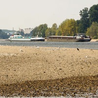 Binnenschiffe auf dem Rhein vor Emmerich im Juli 2026. 