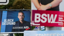 Wahlpalakte und AfD und BSW in Sachsen-Anhalt