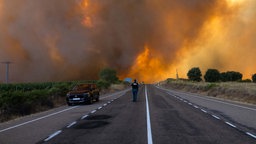Dichter Rauch ist während eines Waldbrandes am Rande einer Landstraße im Naturpark Arribes del Duero in Spanien zu sehen. 