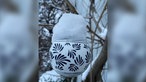 Schneeimpressionen aus NRW