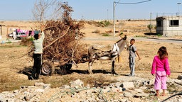 Beduinen in Israel