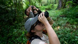 Eine Frau und ein Mann schauen im Wald mit Ferngläsern nach oben 