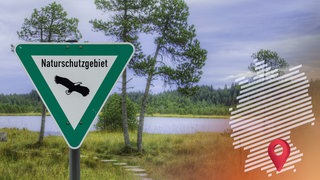 Im Einsatz für die Natur: Unterwegs mit einer bayerischen Rangerin