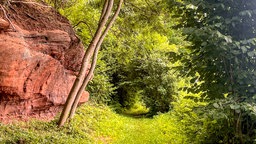 Pingenwanderpfad