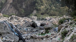 Müll liegt um den Fluss Rio Las Vacas. Der Fluss läuft durch eine offene Deponie, die laut Hidrovacas täglich um die 3 000 Tonnen Müll aufnimmt.