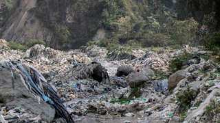 Müll liegt um den Fluss Rio Las Vacas. Der Fluss läuft durch eine offene Deponie, die laut Hidrovacas täglich um die 3 000 Tonnen Müll aufnimmt.