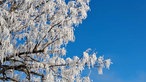 Schneeimpressionen aus NRW