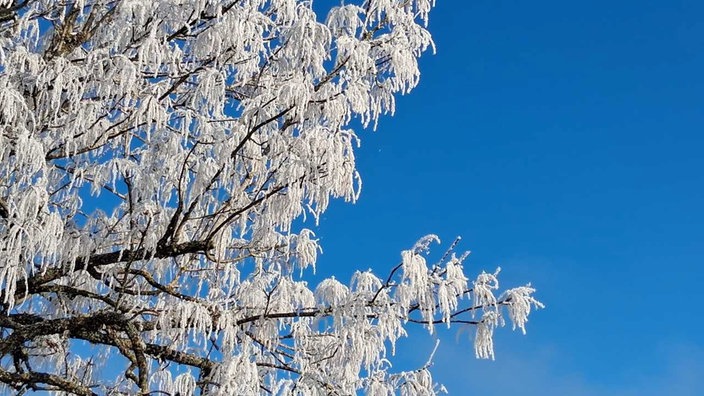 Schneeimpressionen aus NRW
