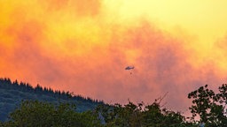 Lösch-Hubschrauber fliegt über dem Feuer von Hürtgenwald. 