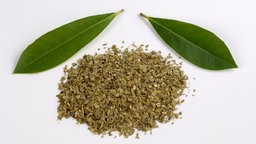 Ilex paraguariensis verarbeitet zu Mate-Tee.