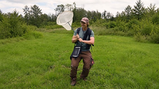 Naturschützer Karsten Cieslik steht mit einem großen Schmetterlingsnetz mitten im Grünen.