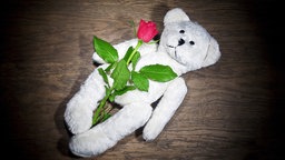 Ein Teddybär mit einer roten Rose