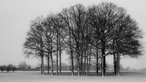 Schneeimpressionen aus NRW