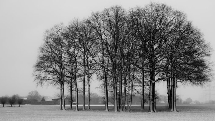 Schneeimpressionen aus NRW