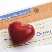Ein roter herzfärmiger glatter Stein liegt auf einem Organspendeausweis
