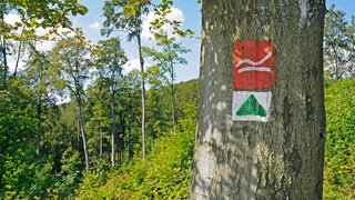 Wanderwegmarkierung am Rothaarsteig