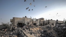 Zerstörtes Gebäude im Gaza-Streifen. Darüber fliegen Vögel.