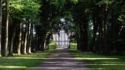 Blick vom Tiergarten auf den Weg, der zu Schloss Augustusburg führt. 