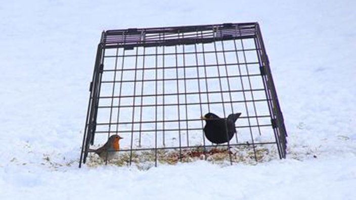 Schneeimpressionen aus NRW