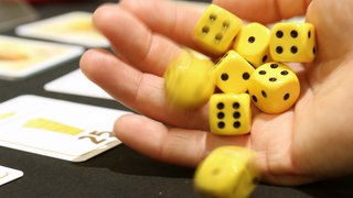 Die Würfel des Spiels "Käse Würfeln" werden von einer Spielerin auf den Tisch gerollt. 