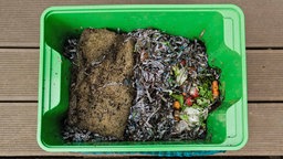 Erde, Abfälle und Würmer in einer Wurmkiste aus Plastik