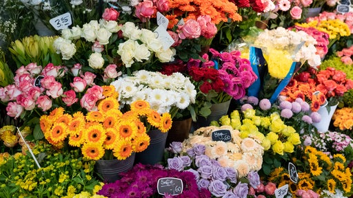 Schnittblumen