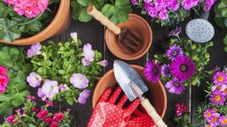 Blumen und Gartenwerkzeuge auf einem Tisch