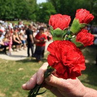 Rote Nelken bei Feierlichkeiten am Ersten Mai in Zagreb, Kroatien