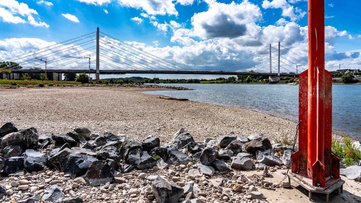 Der Rhein mit Blick auf die Rheinbrücke Neuenkamp bei Duisburg mit niedrigem Pegel aufgenommen am 29.08.2025