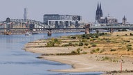 Binnenschiffe fahren bei Niedrigwasser vor der Kulisse des Kölner Doms über den Rhein.