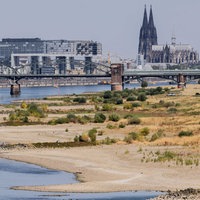 Binnenschiffe fahren bei Niedrigwasser vor der Kulisse des Kölner Doms über den Rhein.