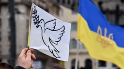 Nahaufnahme eines Schildes mit einer Friedenstaube, das von einem Demonstranten bei einer Ukraine-Friedensdemo hochgehalten wird.
