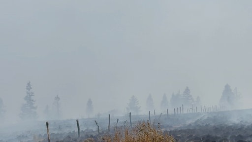 Dichter Rauch im Hohen Venn