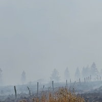 Dichter Rauch im Hohen Venn