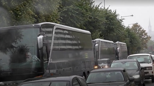 Blumenbeet stoppt Busse in Köln
