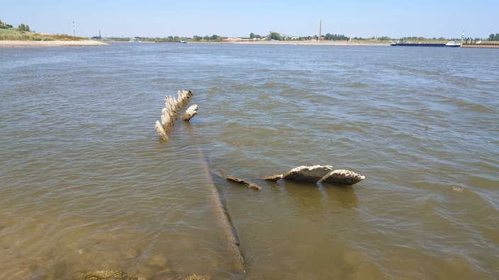 Holzplanken eines Schiffswracks schauen aus dem Wasser.