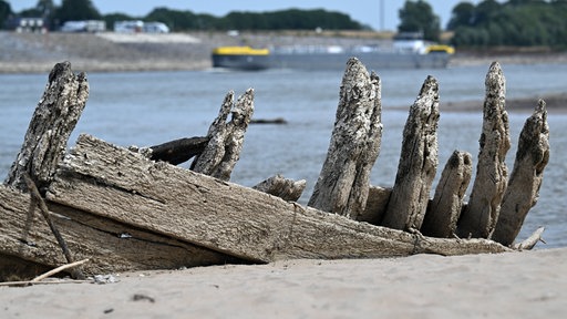Schiffswrack im Rhein in Kleve 