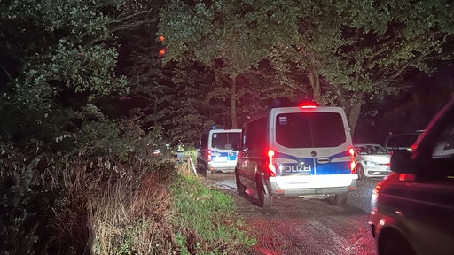 Schlange von Polizeiautos am Hambacher Forst am 04.09.2026