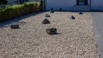 Schottergarten