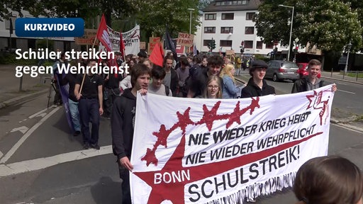 Schülerstreiks gegen die Wehrpflicht | Video | tn