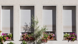 Blumen stehen vor heruntergelassenen Jalousien in der Sonne