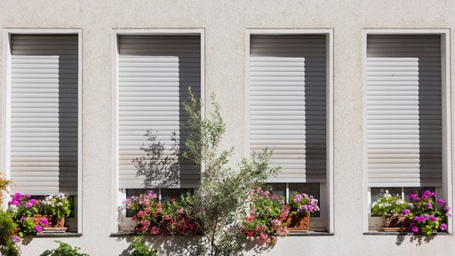 Blumen stehen vor heruntergelassenen Jalousien in der Sonne