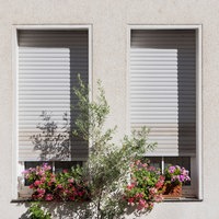 Blumen stehen vor heruntergelassenen Jalousien in der Sonne