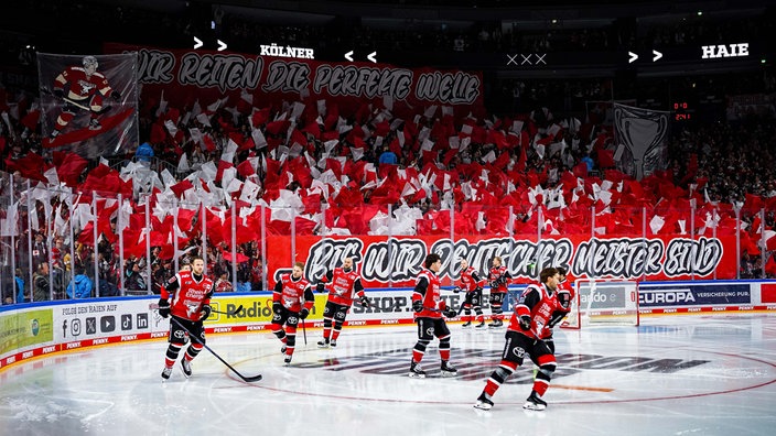 Die Kölner Fans unterstützen ihr Team gegen die Schwenninger Wild Wings