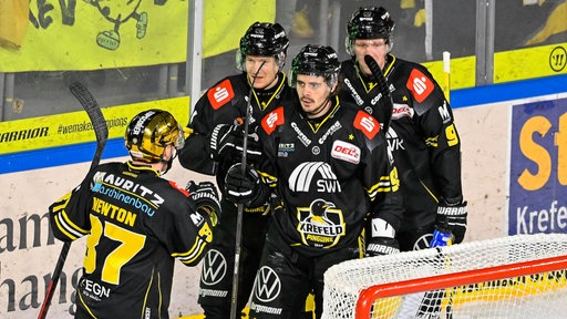 Krefelder Pinguine auf dem Eis